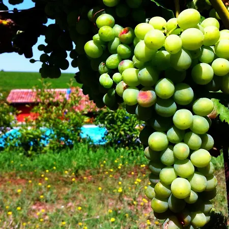 Cascina Dei Giacinti Farm stay *