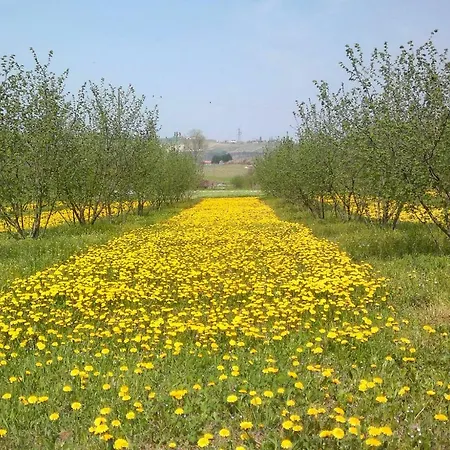 Cascina Dei Giacinti 팜스테이