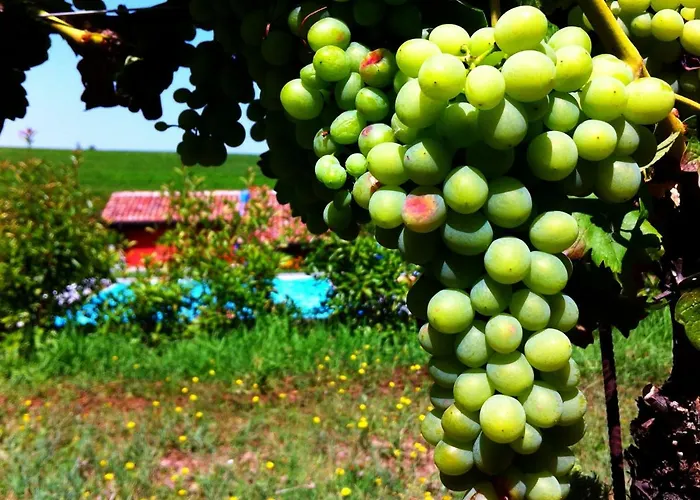 Cascina Dei Giacinti مزرعة للإقامة *