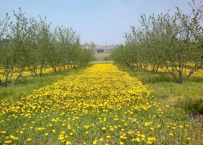 Cascina Dei Giacinti مزرعة للإقامة